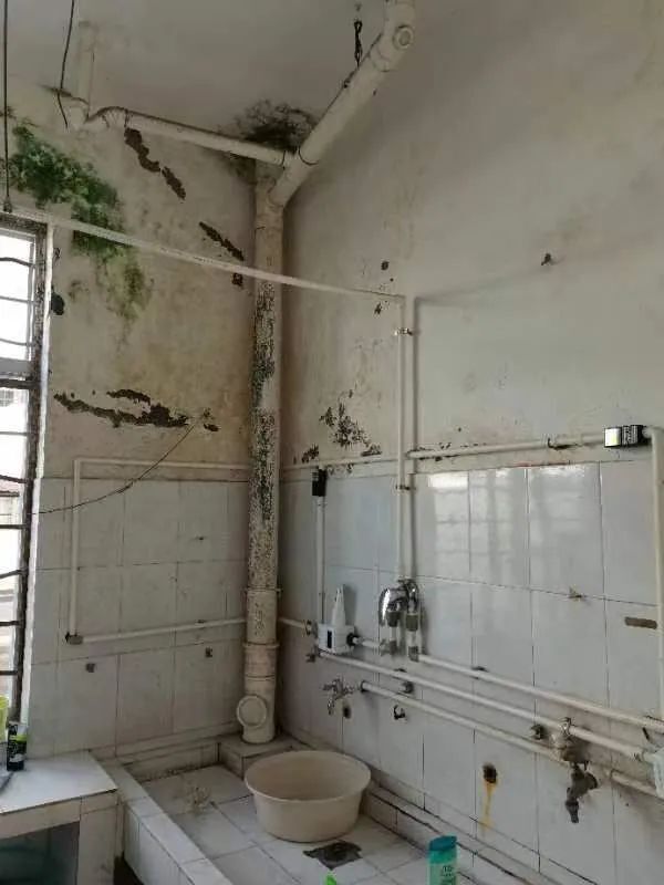 台州天台县平桥二中完工后的新校园!环境改善明显