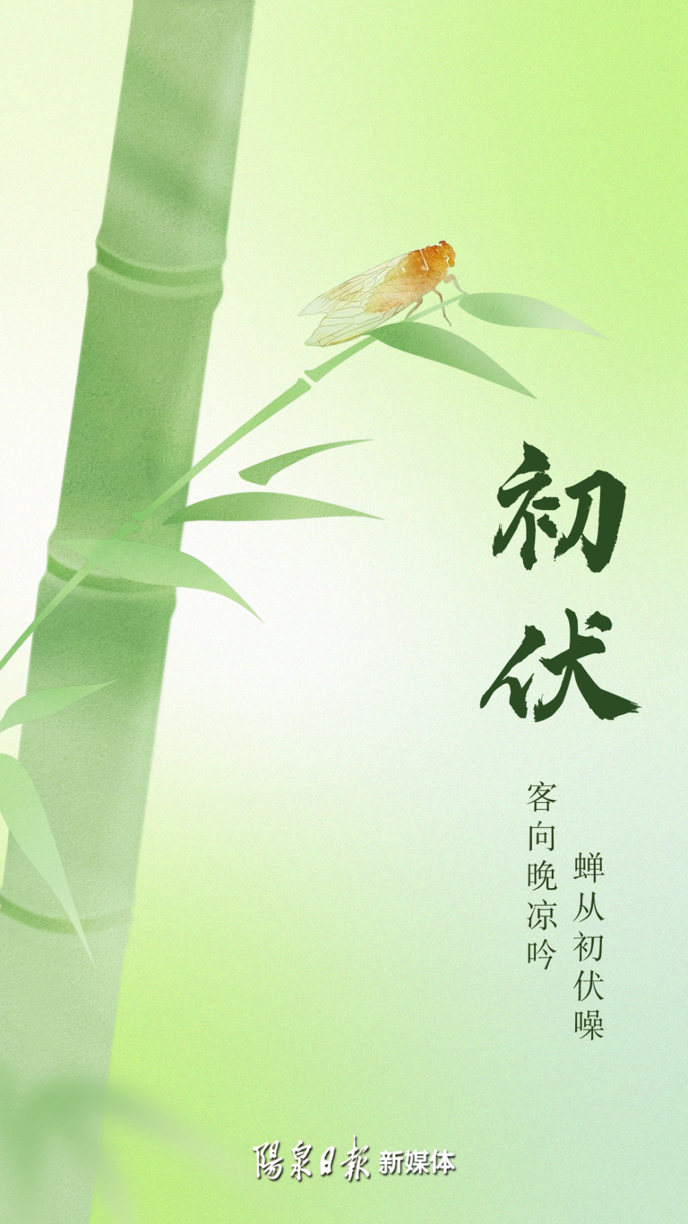 今日入伏!