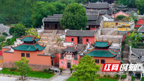 组图嘿沅陵龙兴讲寺玉兰花盛开啦