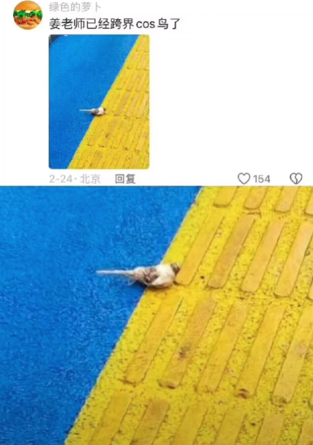 [南方生姜网-图片加载]