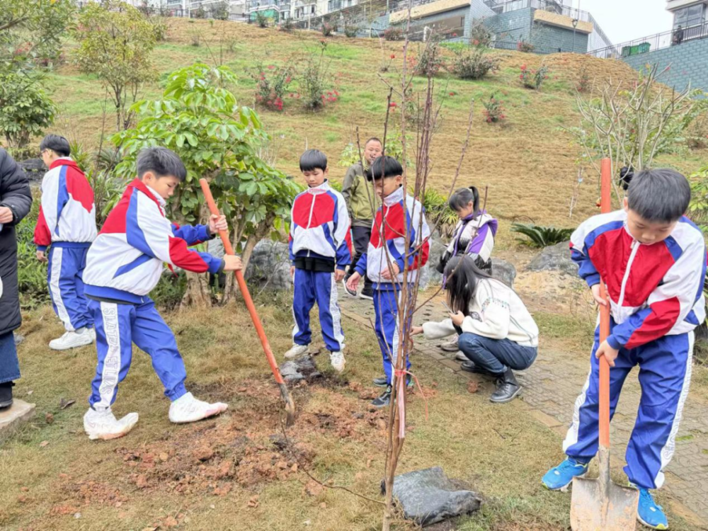 “手植春光 共添新绿”——青秀区开展植树节主题活动_腾讯新闻