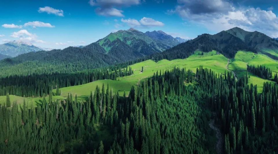 邂逅库尔德宁之美 来一次草原上的浪漫约会~_腾讯新闻