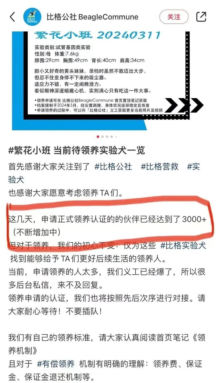 全网为杜江霍思燕一家颁发塌房豁免权，好小众的荣誉啊-腾讯新闻
