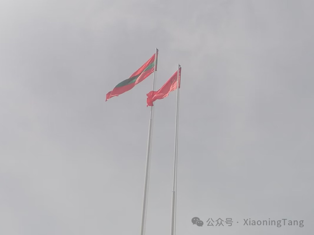 在我下午离开杜伯萨里的时候,苏维埃大楼的旗杆上已经升起了胜利旗.