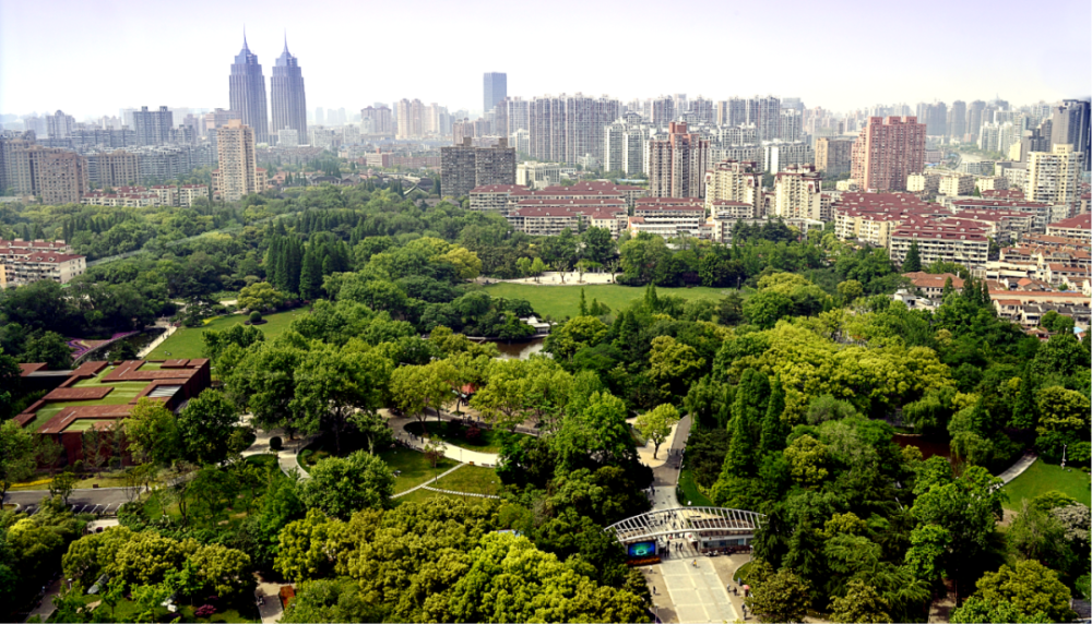 20路公交披上"夏装"~搭乘公交or观光巴士畅游上海,好city啊_腾讯新闻