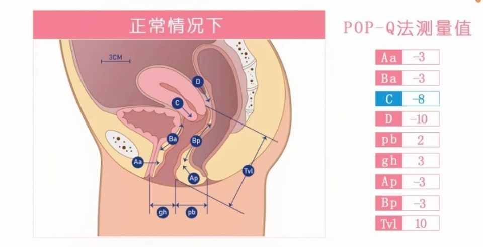 通过pop