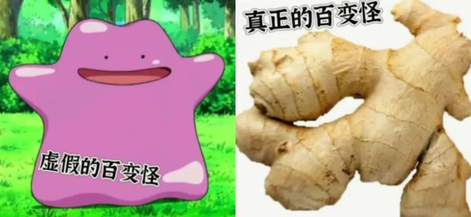 [南方生姜网-图片加载]