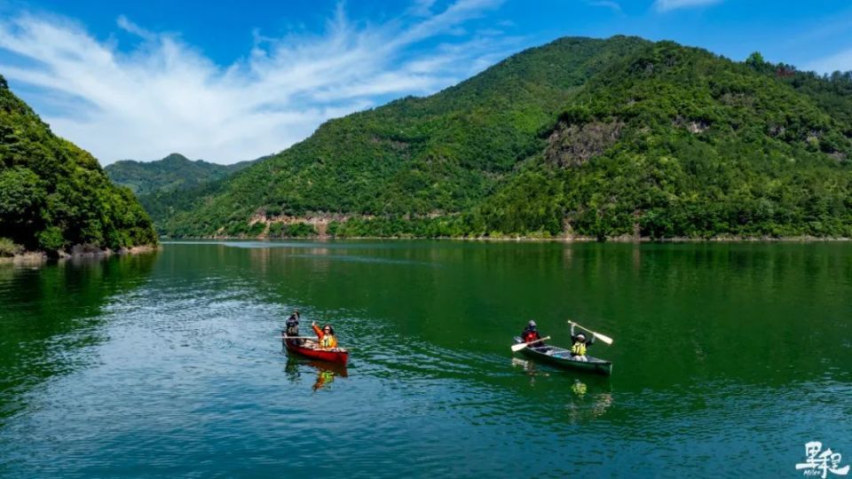 不跟你们卷了,我先划水了