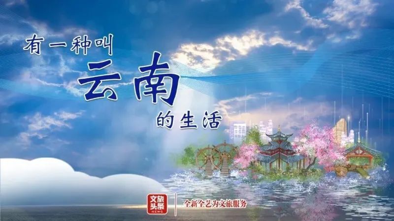 听云南 | 西盟佤族独弦琴 一弦一柱 余音袅袅