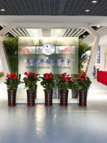 "解码"河西区中学的教育力量与独特魅力
