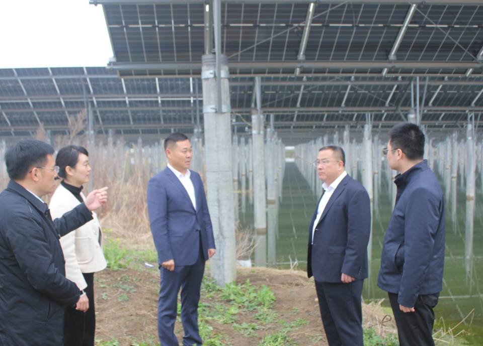 全新首页焕新登场