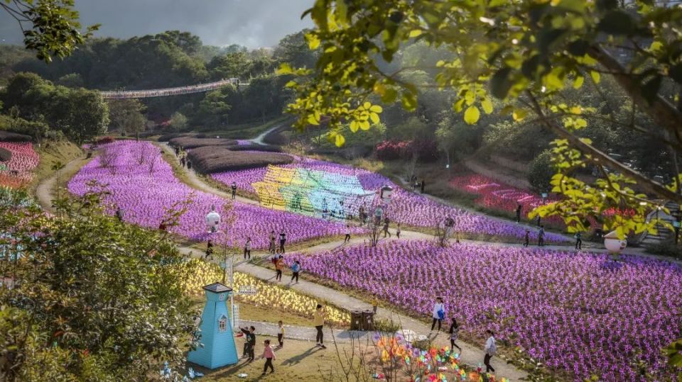 早安,安溪 | 今年,安溪规划新增10个口袋公园