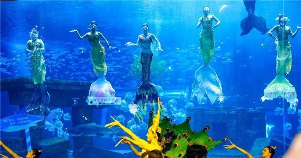 海底博物馆,海底图书馆落地昆明融创海世界