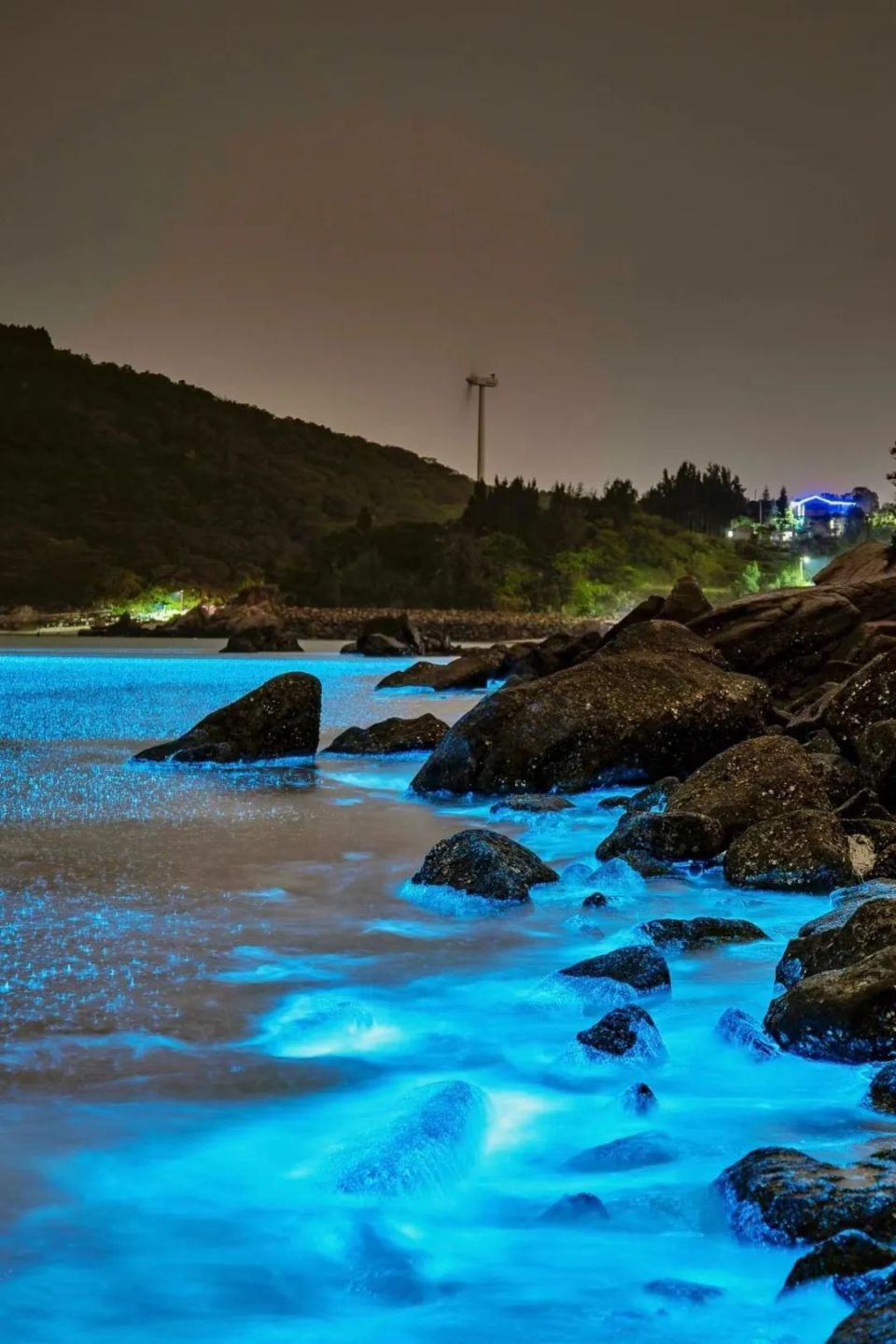 又到一年一度蓝眼泪爆发季!