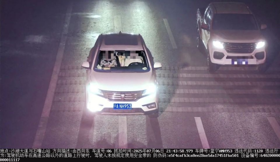 临时号牌违章会被拍吗现在怎么处罚的呢视频的简单介绍