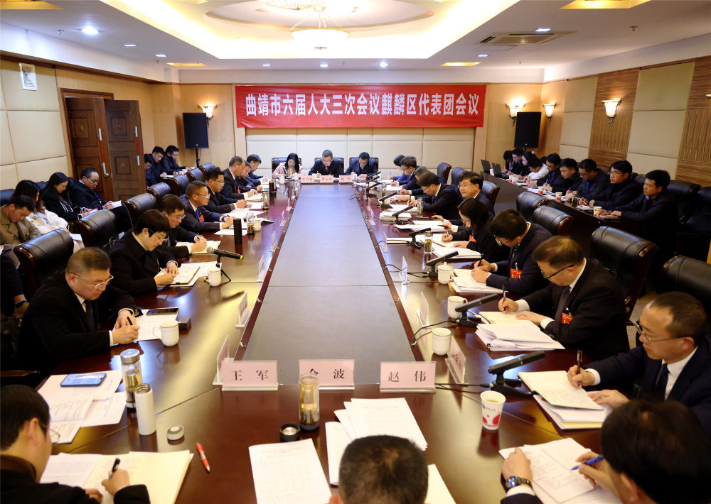 杨斌参加麒麟区代表团审议时强调：在干在实处走在前列勇立潮头上为全市作出示范树好标杆_腾讯新闻