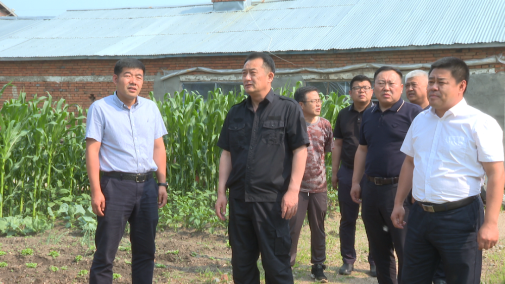 孙吴县委主要领导深入乡镇检查调研防汛和乡村振兴等重点工作