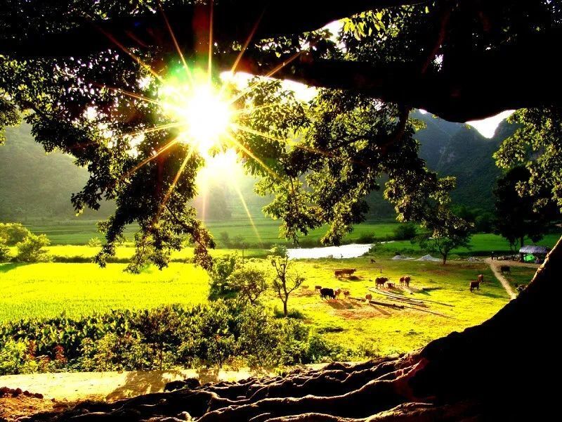 "好在"文山丨 坝美村:世界的世外桃源