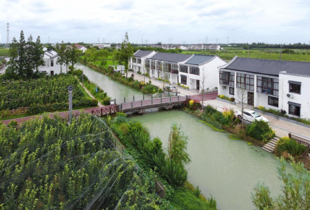 优秀案例94丨村美民富 生态宜居 描绘存古乡村振兴新画卷——奉贤区