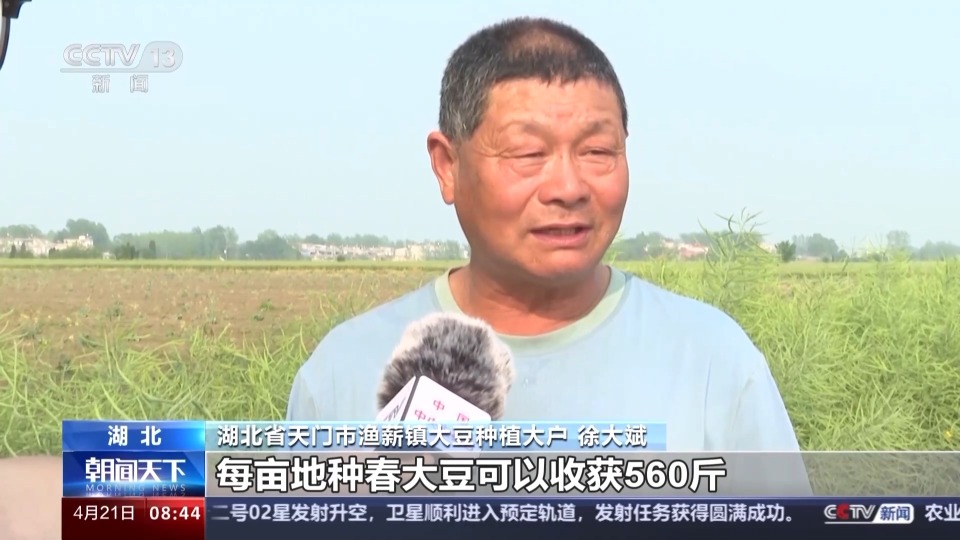 这两天,渔薪镇种植大户徐大斌种上了高产优质大豆新品种"中豆63".