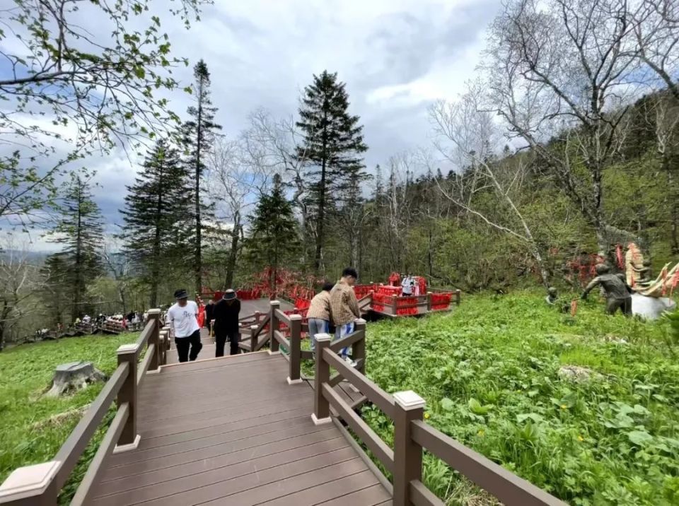 【产业富企】凤凰山景区:高山杜鹃迎来盛开季