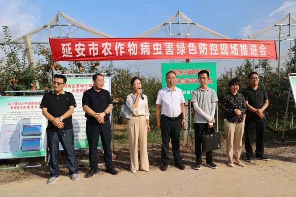 浩,延安市植保植检站副站长张亚琳丶洛川县政府副县长张军旗参加会议