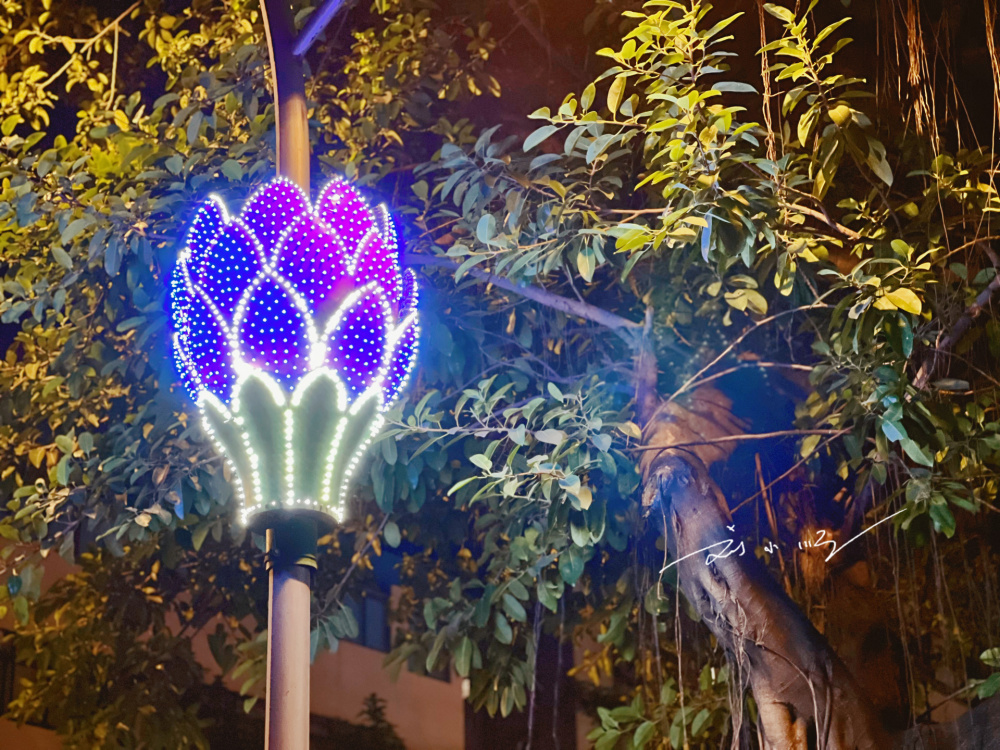 佛山市这个低调的城区,路灯上都开满了"荷花",游客直呼好浪漫_腾讯新