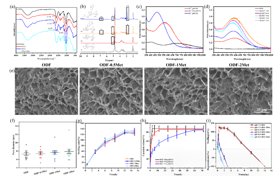 伤口酸是怎么回事《Mater. Today Bio》暨南大学李立华： 透明质酸水凝胶pH响应释放二甲双胍促进糖尿病感染伤口愈合！_https://www.jmylbn.com_新闻资讯_第2张