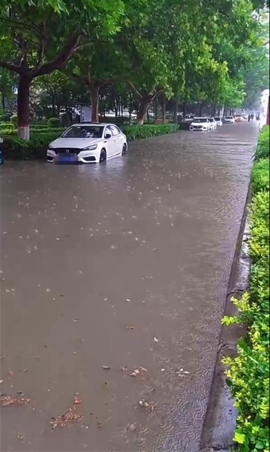 据央视新闻报道,河南荥阳市气象台2024年7月08日06时01分发布暴雨红色