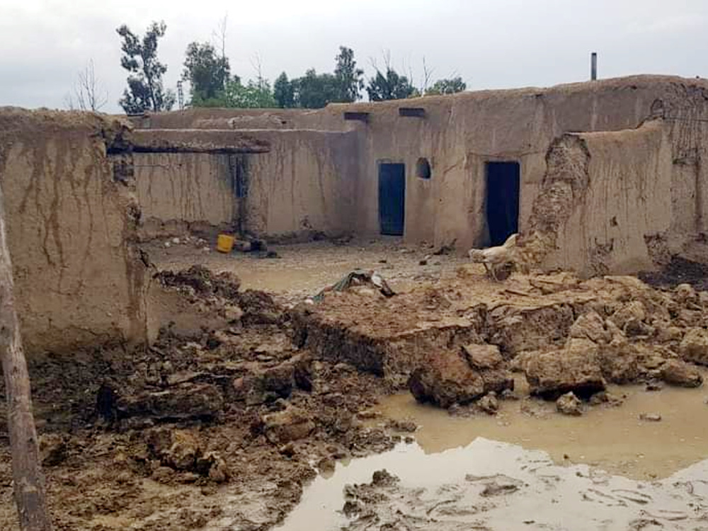 巴基斯坦暴雨灾害致71人死亡