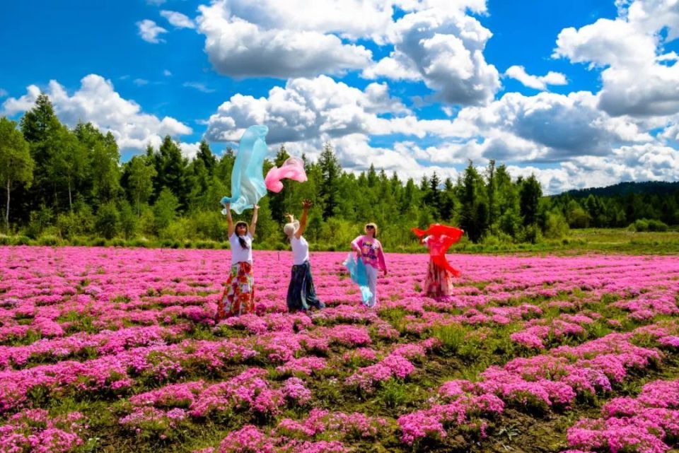 每年四至五月,正是游赏伊春,沉浸花海的好时节