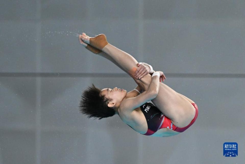 跳水——游泳世锦赛选拔赛:女子10米跳台赛况