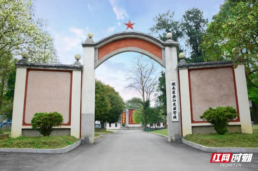 花草新闻社│怀化安江农校木绣球开了快来邂逅这片白色浪漫