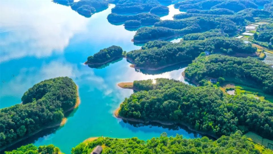 (活动期间每天限量前100名)07洪湖湿地生态园活动时间:即日起-5月31日