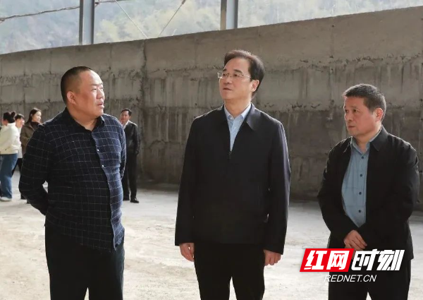 查安全促环保醴陵市领导深入均楚督导调研