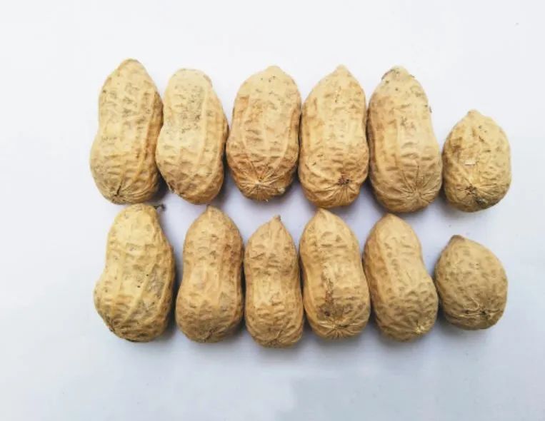 在海南,这种美食会"七十二变"!