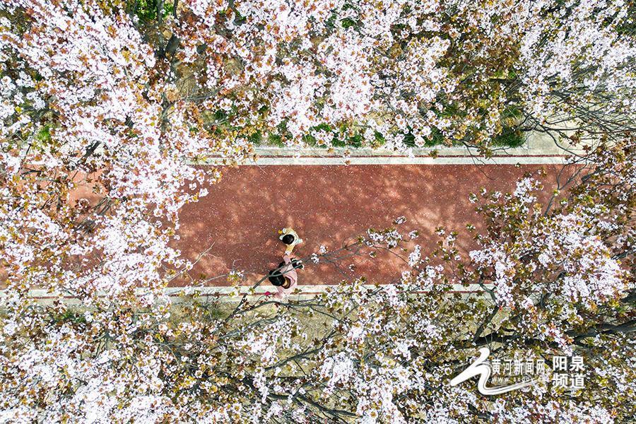 怎么也飞不出,山西花花的世界