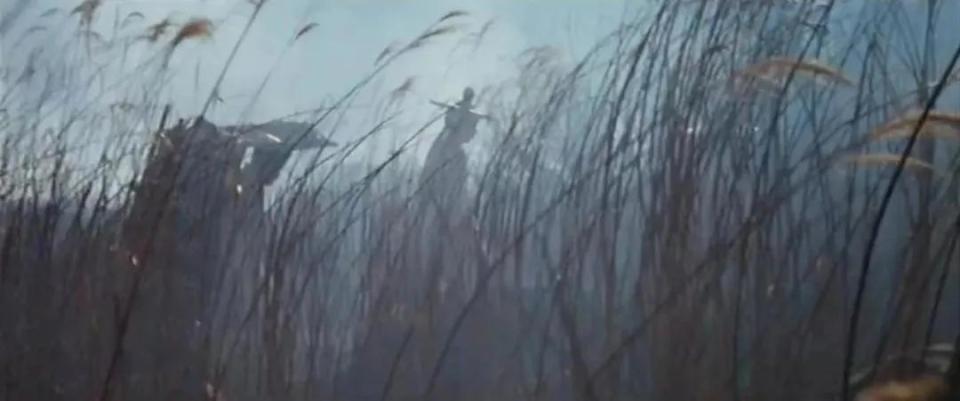 ͼƬ