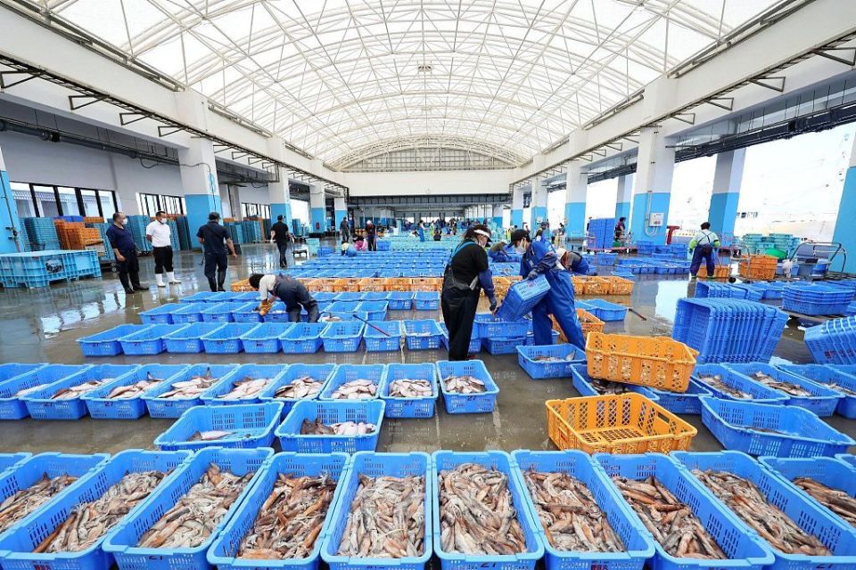 日媒：日本渔业从业者，14年少了10万人_腾讯新闻