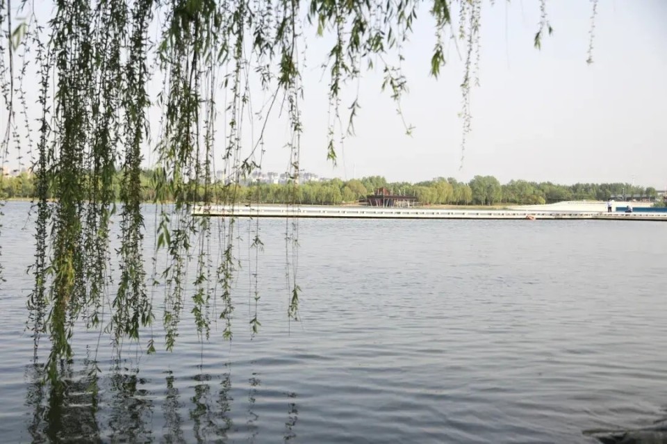 郑州网红公园竟有"隐藏玩法"  春光正好,就等你了