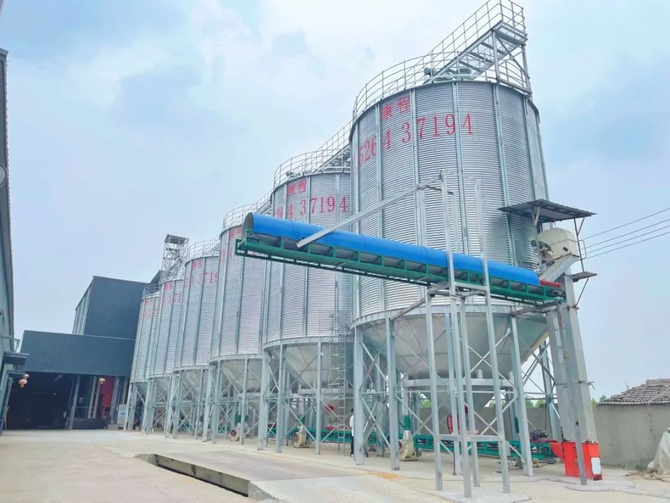 提前准备了3台烘干机,6台钢板仓,即使下雨我们也能把夏粮及时抢收抢种