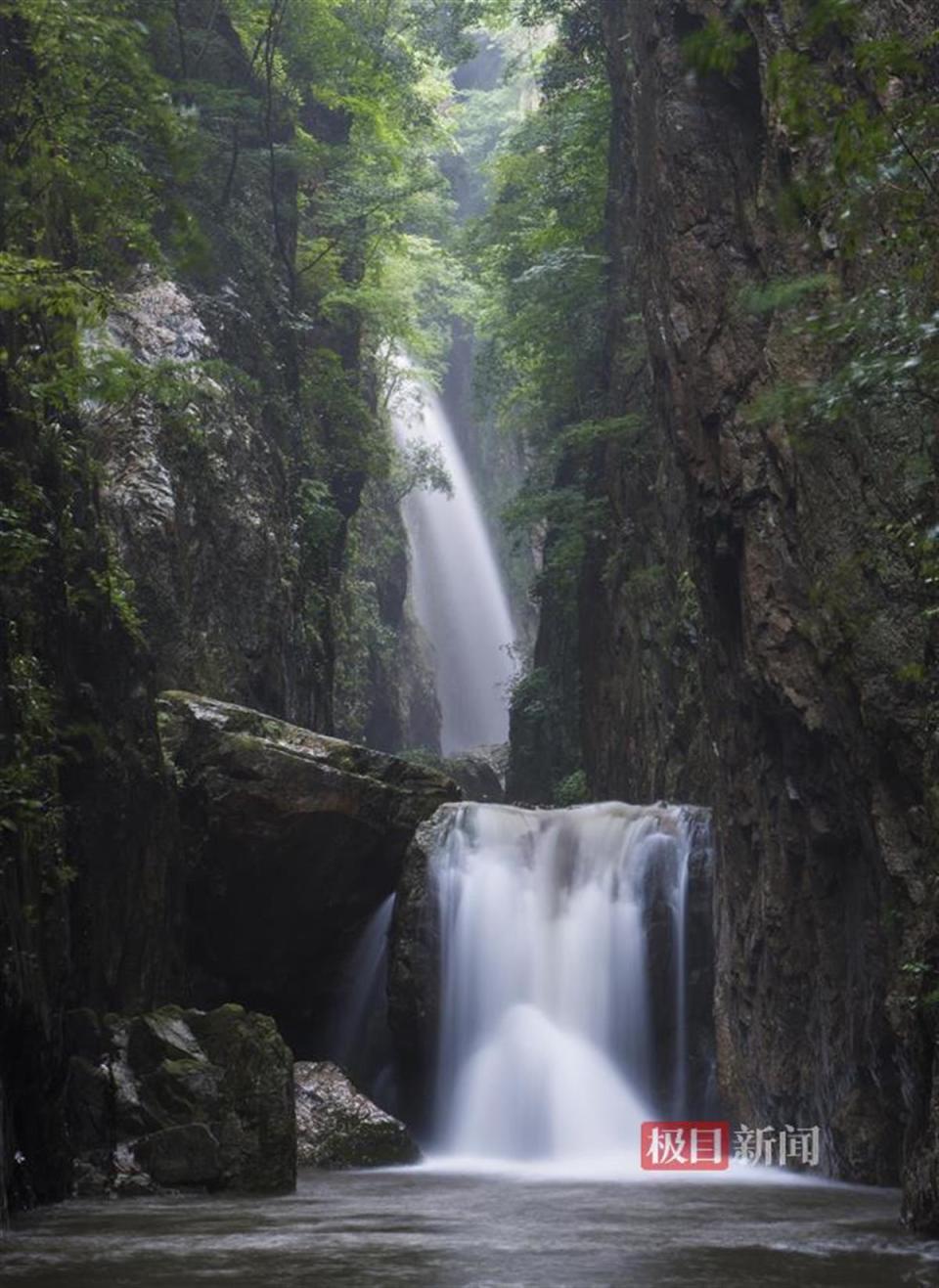 闭园一年后,随州的中国千年银杏谷景区要开园了