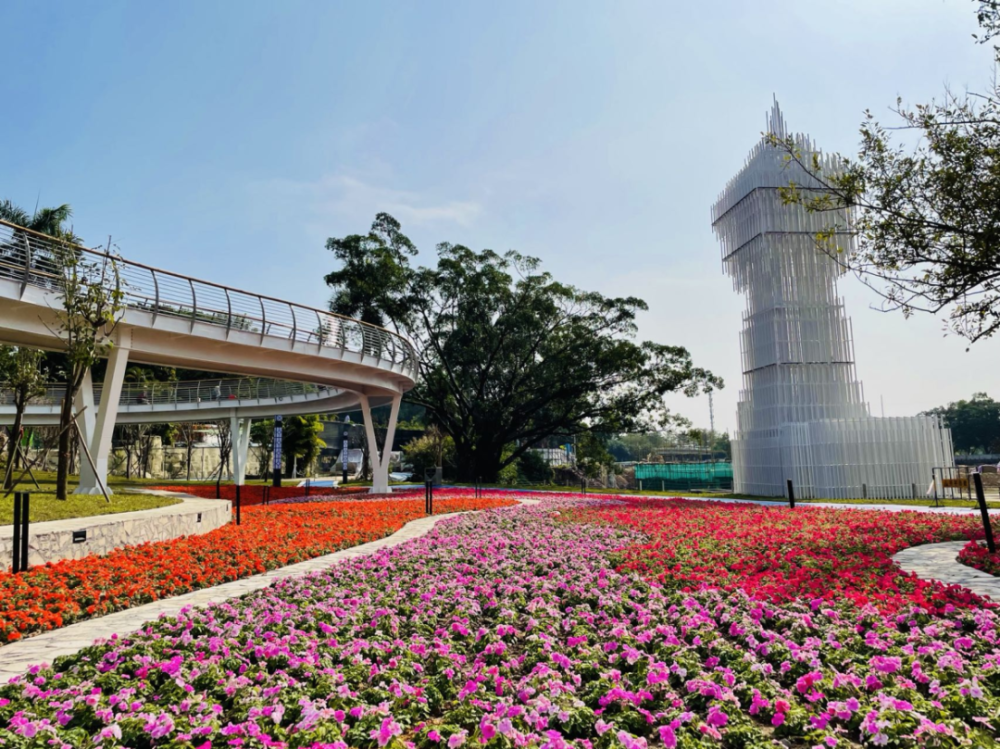 风景如画绿草如茵,移步换景金山公园空气清新,幽静自来开平夏日的浪漫