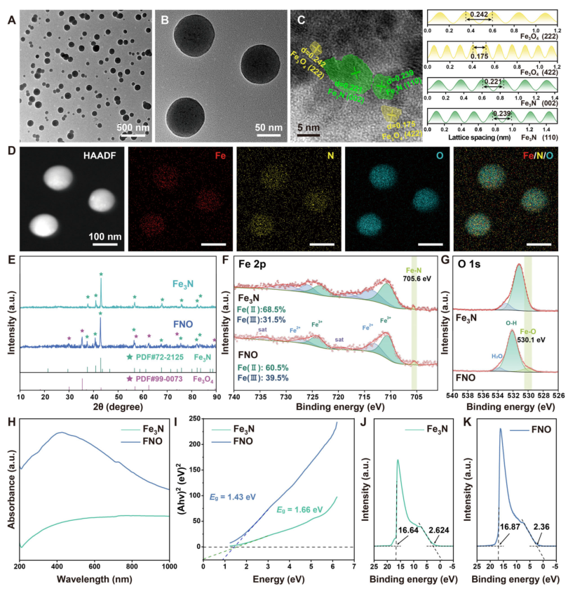 抗菌敷料有哪些西安交大AM：新型自进化水凝胶敷料，为感染性糖尿病伤口愈合提供时空精准调控新策略_https://www.jmylbn.com_新闻资讯_第3张