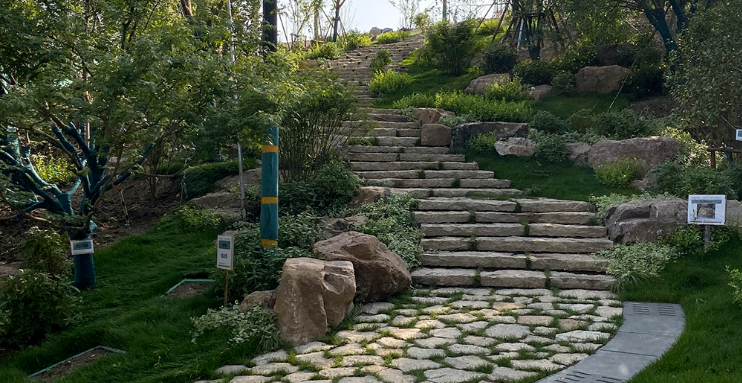 最新曝光全上海关注的双子山已完成超9成爬一次约20多分钟将免费开放