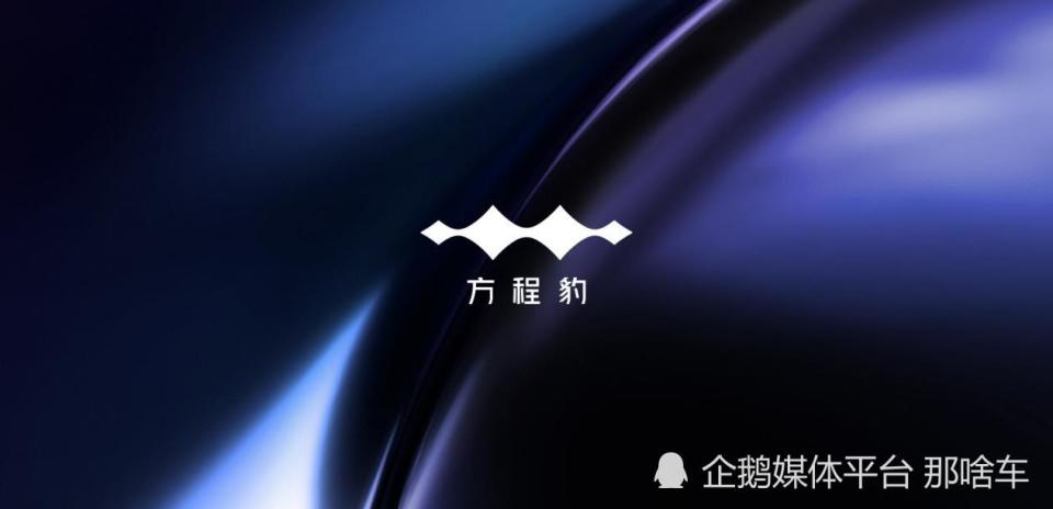 融合秩序与感性，方程豹品牌标志亮相