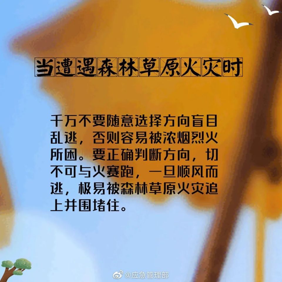 火险预警&护林防火|关于森林防火 这些常识要知道!