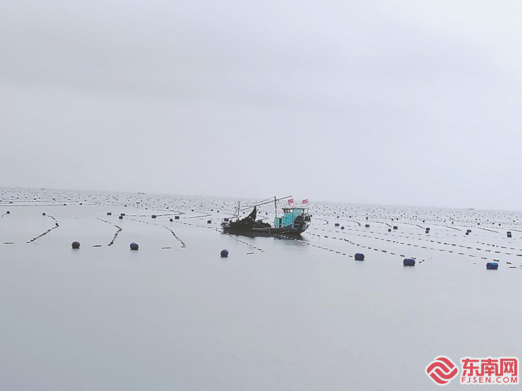 人海和谐的闽人范式