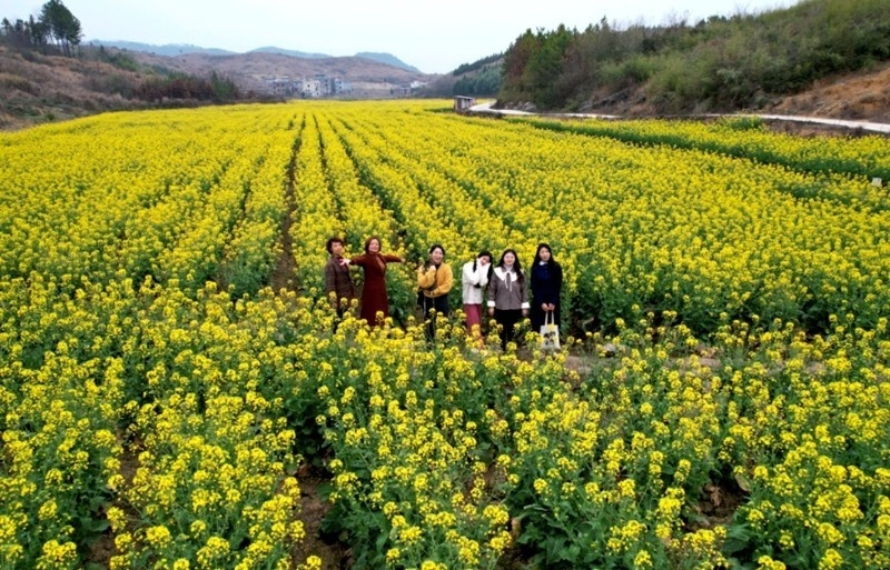 新田縣農旅融合方興未艾鄉村振興闊步向前