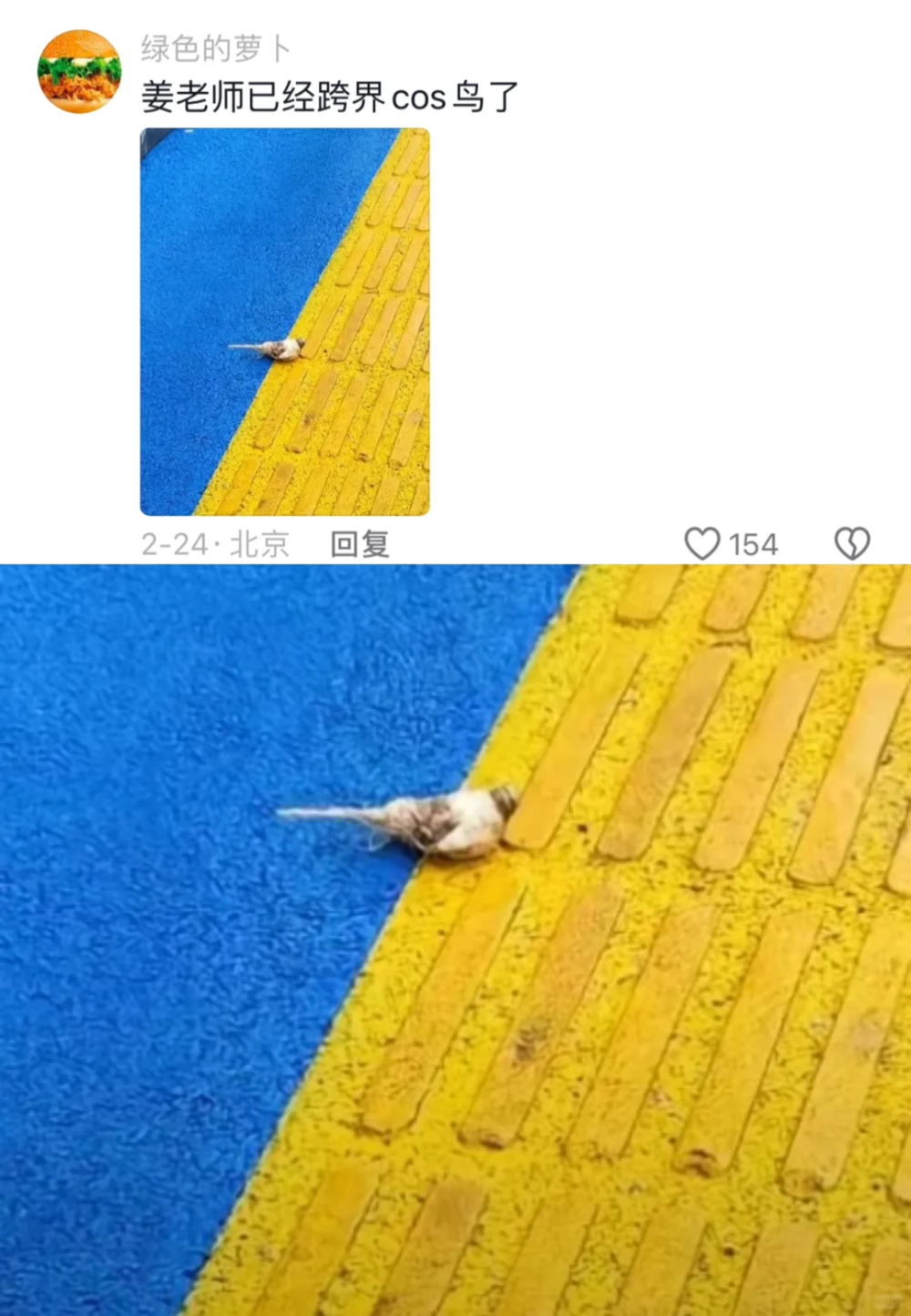 [南方生姜网-图片加载]